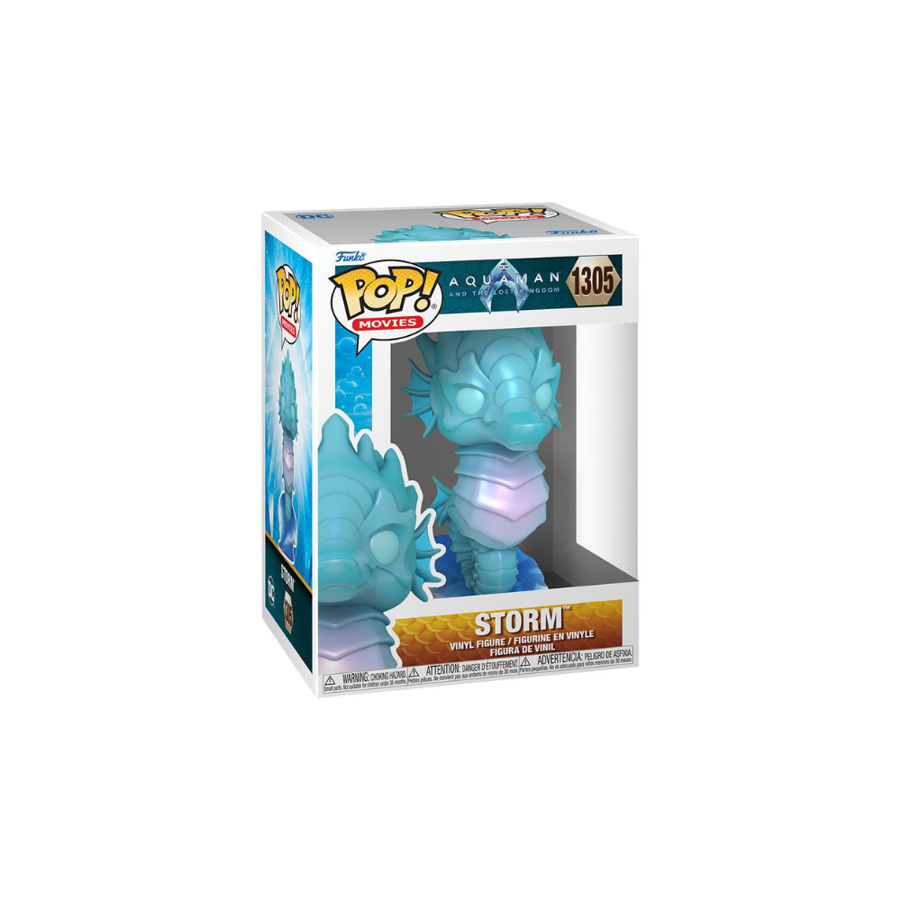 Aquaman and the Lost Kingdom Storm Funko Pop! Vinyl Figure #1305